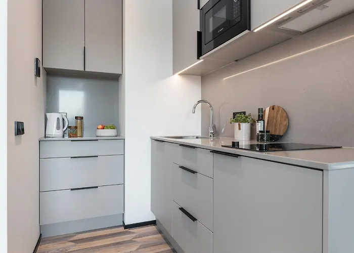 Apartment Vaeo Keskus Modern Guest Tallinn